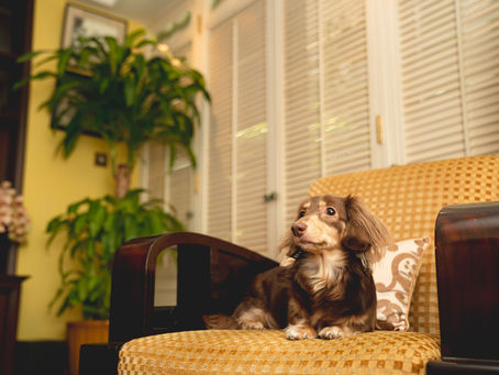 Service Apartment | Nowadays Space In Hong Kong Becoming Increasingly Limited