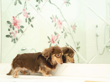 Service Apartment | Tips About Service Apartment You Can't Afford To Miss