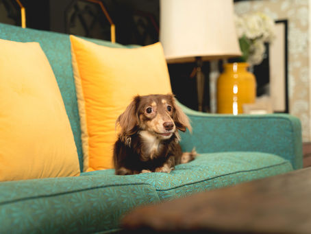 Service Apartment | How To Decorate A Studio Apartment - Apartment O Service Apartment