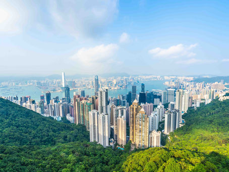 Service Apartment | Apartment O Options Guide | What To Expect In A Pet-Friendly Apartment?