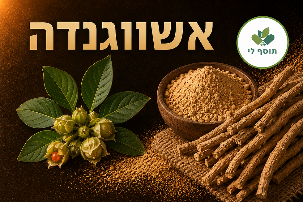 יתרונות אשווגנדה - צמח המרפא שכולם מדברים עליו