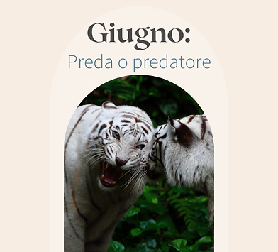 9talenti Testata del mese_giugno.png
