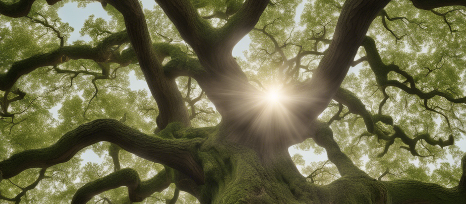 Transforming Nigerian Markets: Green Oak Tree Partners' Success Stories