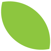 PP Leaf LIME.png