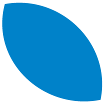 PP Leaf BLUE.png