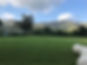 120198226_1841388932665563_7154405071998266175_n (1).jpg