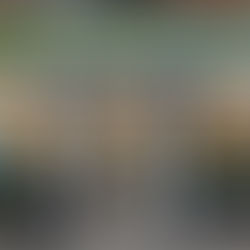 Turnover Rents for Retail – the Way Forward in Recession? Sharing the pain and(hopefully) the gain.