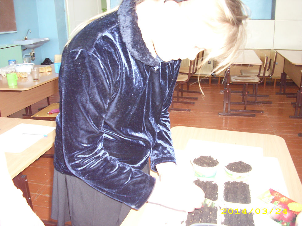 Цветник (5)