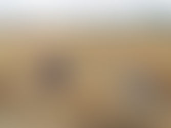 ਪਟਿਆਲਾ ਦੇ ਨਜ਼ਦੀਕ ਭਾਰੀ ਮੀਂਹ ਨਾਲ ਗੇਂਹੂਂ ਦੀ ਫਸਲ ਬਰਬਾਦ, ਕਿਸਾਨਾਂ ਵਿੱਚ ਚਿੰਤਾ ਦਾ ਮਾਹੌਲ