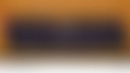 ਕੈਨੇਡਾ ਬਾਰਡਰ ਸਰਵਿਸਿਜ਼ ਏਜੰਸੀ (CBSA) ਵੱਲੋਂ ਨਵੇਂ ਅਧਿਕਾਰੀ ਅਤੇ ਫੈਂਟਾਨਿਲ ਲੱਭਣ ਵਾਲੀਆਂ ਪਹਿਲੀਆਂ ਵਿਸ਼ੇਸ਼ ਡੌਗ ਟੀਮਾਂ ਤਾਇਨਾਤ