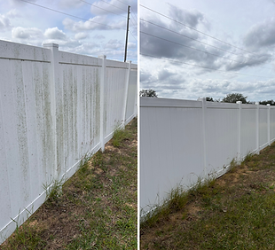 Untitled (11 x 11 in).png