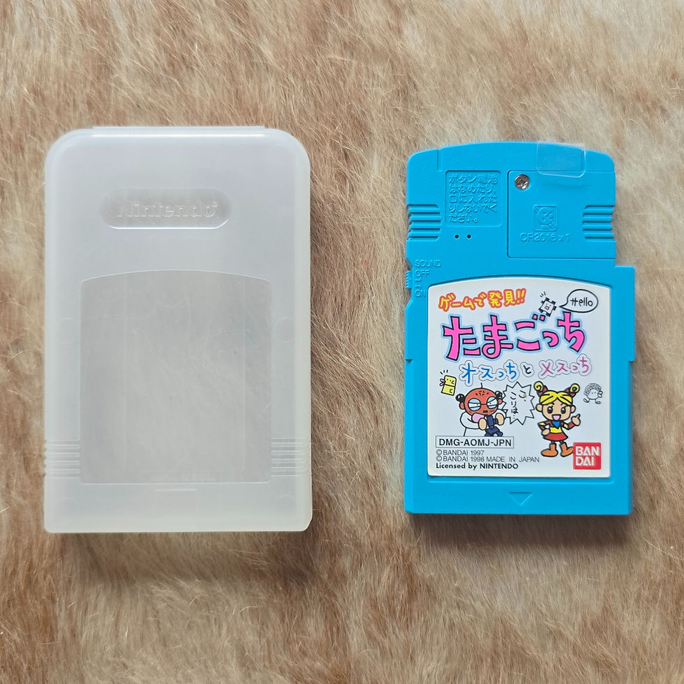 The most special Game Boy cartridge