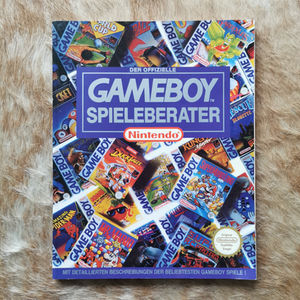 Some of these cost more than the games they explained.