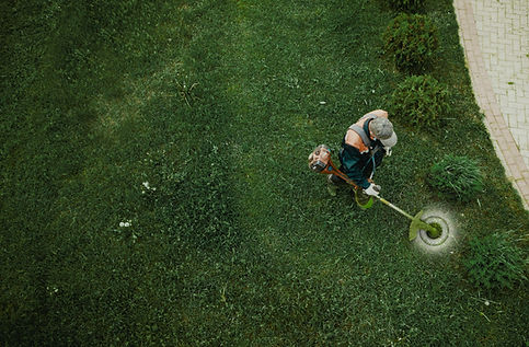 Un uomo taglia l'erba con un decespugliatore su un prato verde.