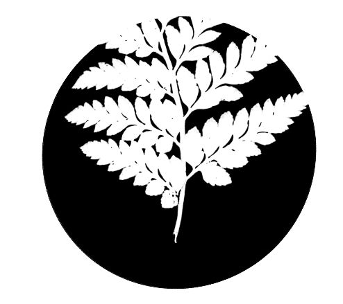 Fern Butt