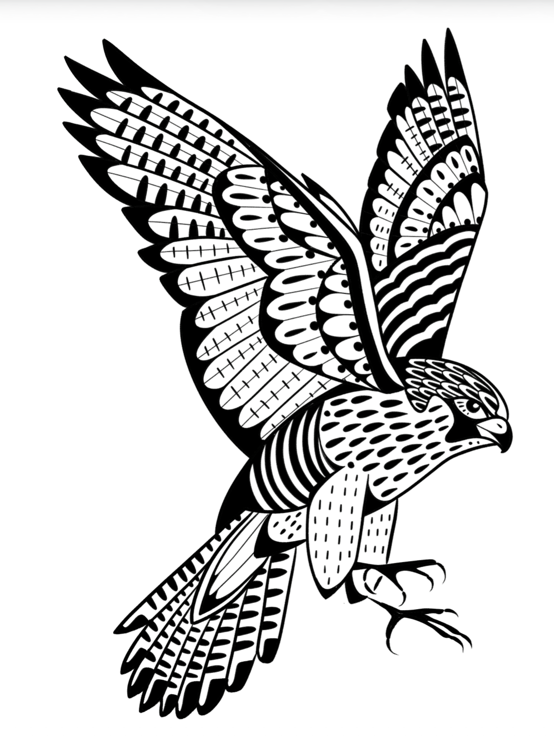 Peregrine Falcon - Medium/Large