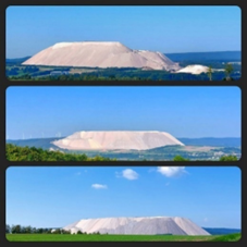 ree