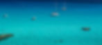 beautiful-shot-blue-ocean-saint-tropez2.jpg