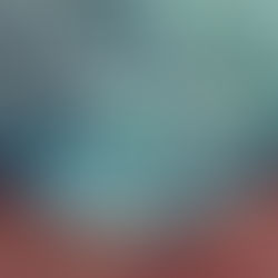 Authentic Presence in Executive Leadership