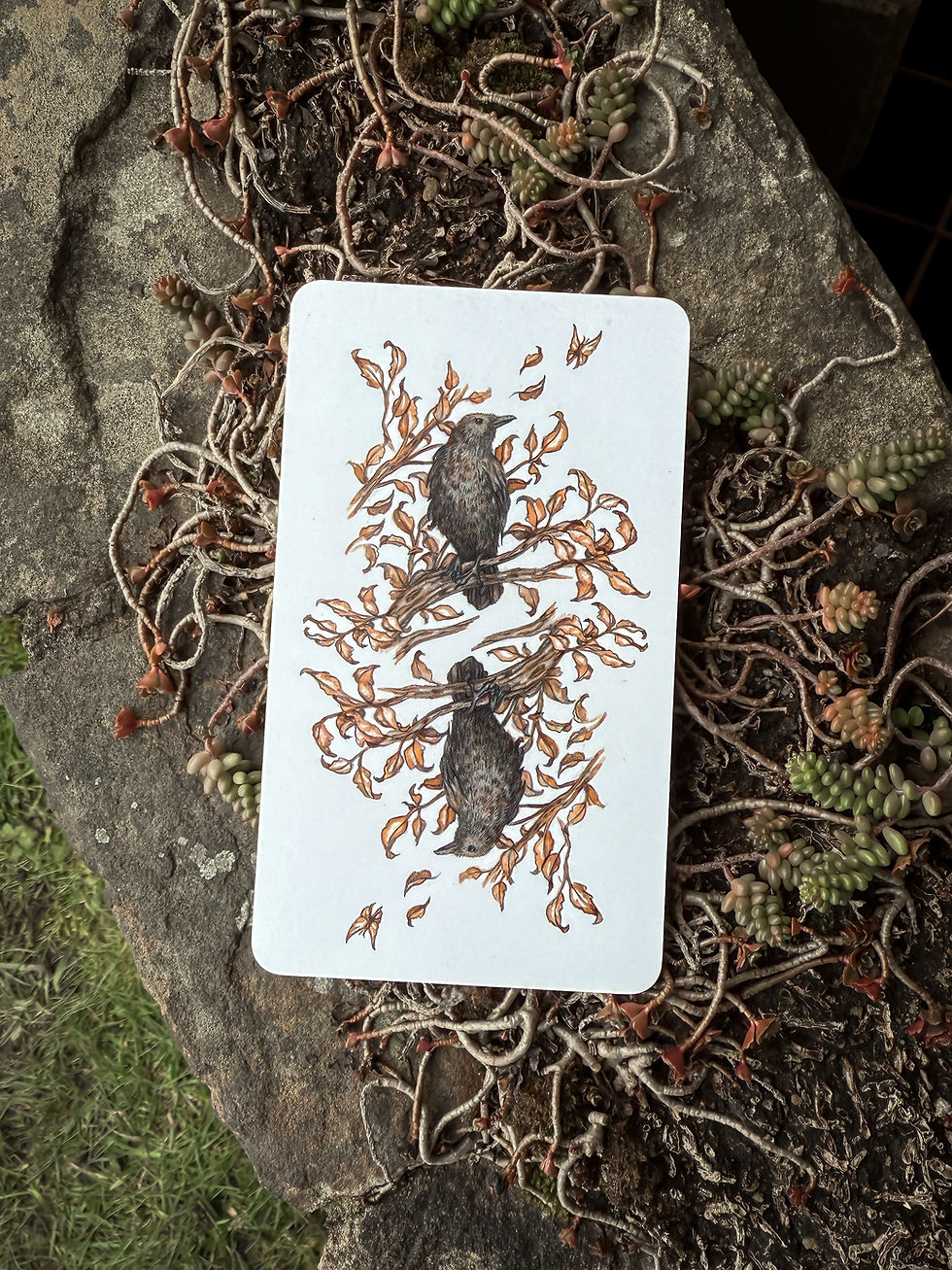 Thumbnail: New edition Oak, Ash & Thorn - factory seconds