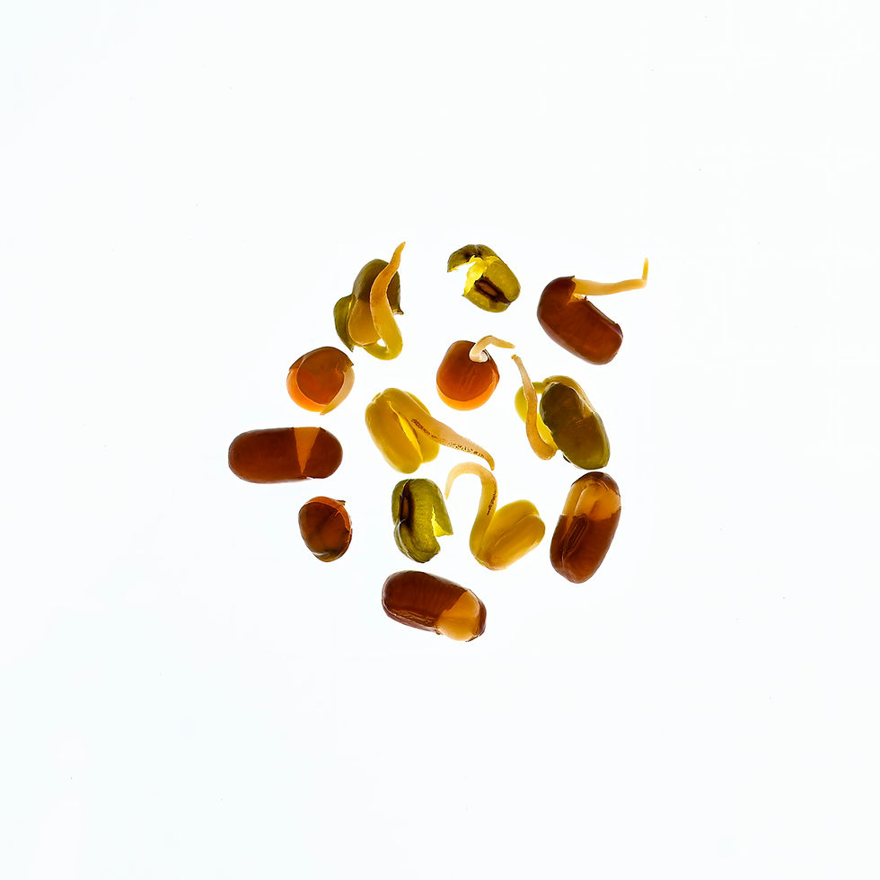 ree