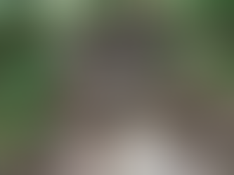 Uneven Ground: Hiking & Neuroplasticity