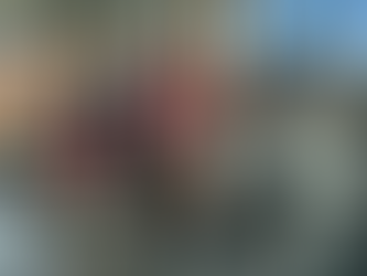 Wellness for Active Aging