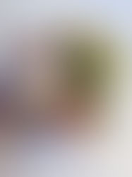 Jessee's wildflowers - gift of beauty over grief