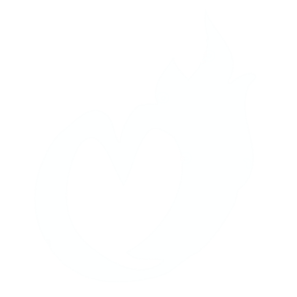 heart on fire | Rebel Wild