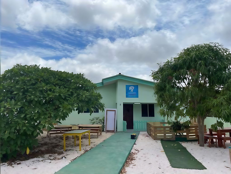 Elephants Splash Education Falkon