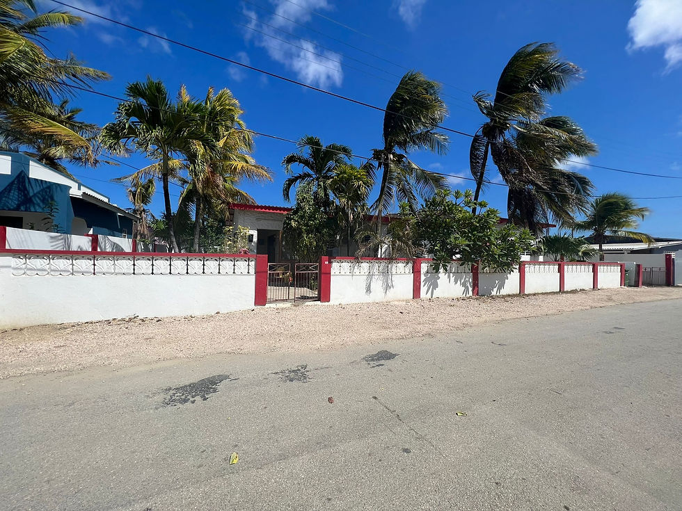 Elephants Daycare Tera Cora