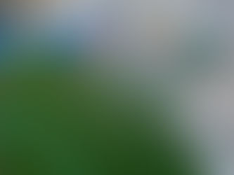 🏖️💦 Splash Party pa Regatta 2025! 💦🏖️