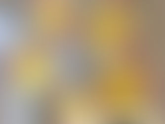 ☀️🎨 Nos Solo Felis! 🎨☀️