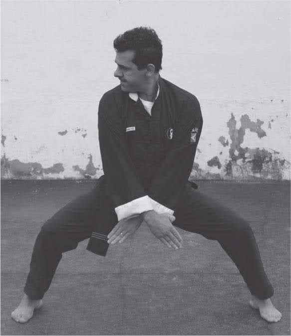 Mestre - Kung Fu - 2012