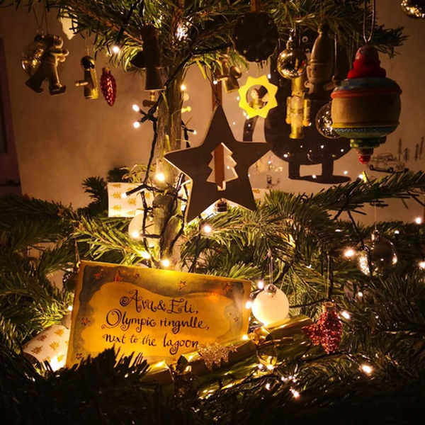 edited letter in tree.jpg