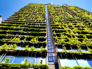 Building for Tomorrow: Trends in Sustainable Office Design