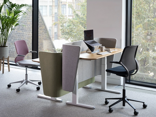 Improve Your Employees’ Health and Boost Their Productivity with Height Adjustable Desks 