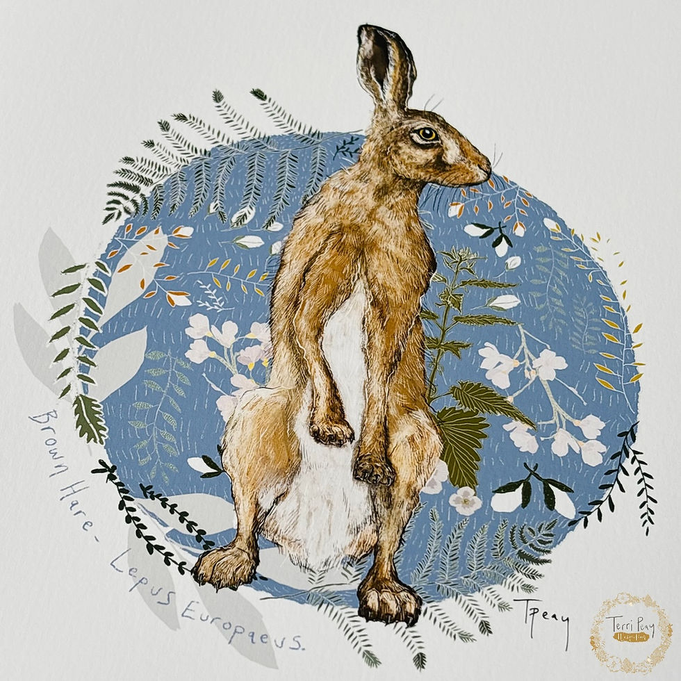 Thumbnail: 'Brown Hare - Standing' Print