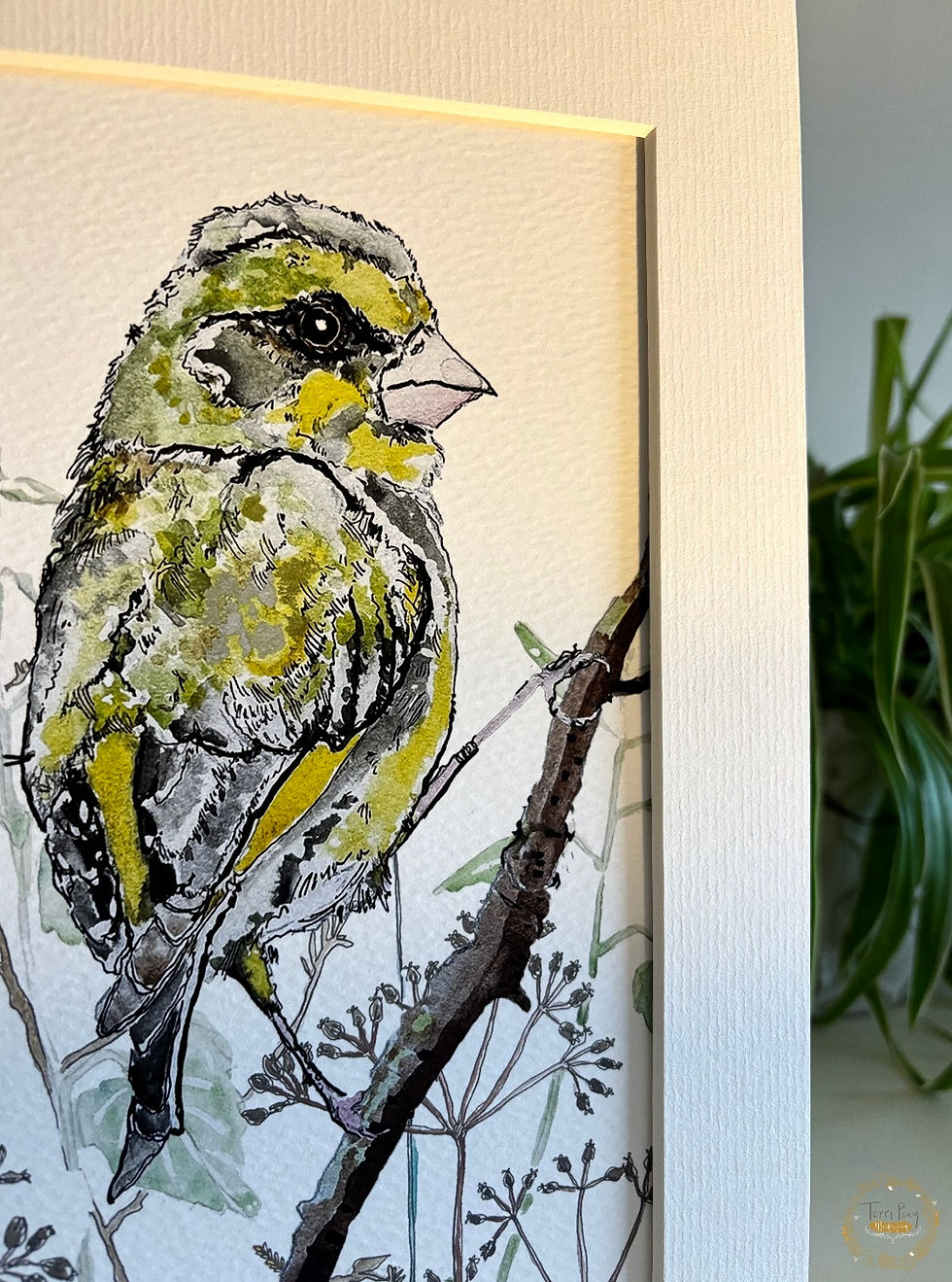 Thumbnail: 'Greenfinch' Print