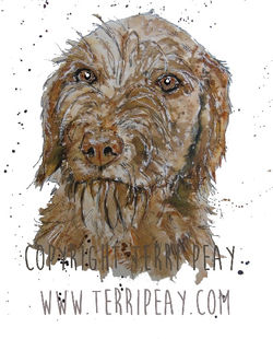 'Harry' by Terri Peay