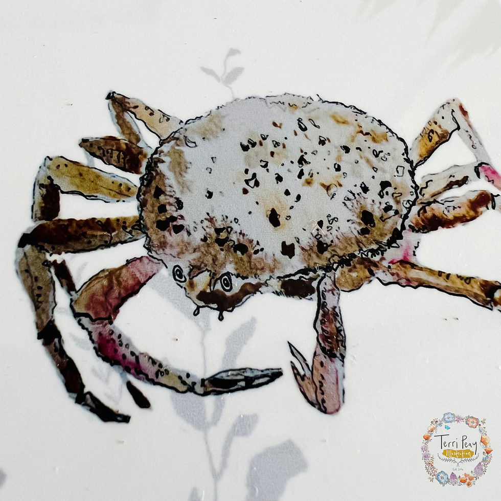 Thumbnail: 'Spider Crab' Coaster