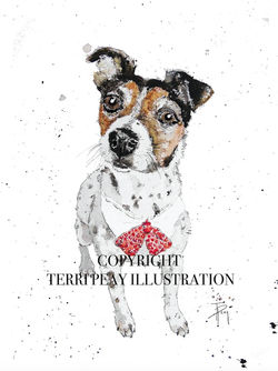 'Paddy' Jack Russell By Terri Peay