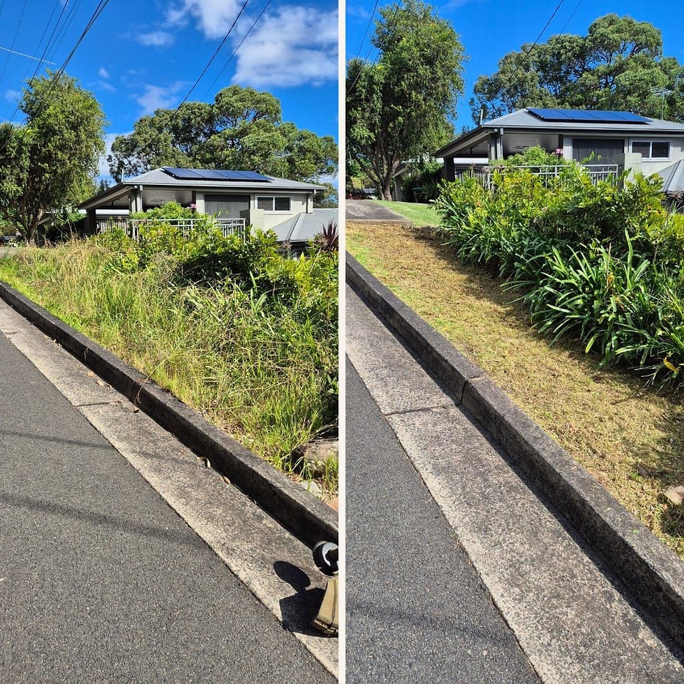 Nature strip clean up Gladesville