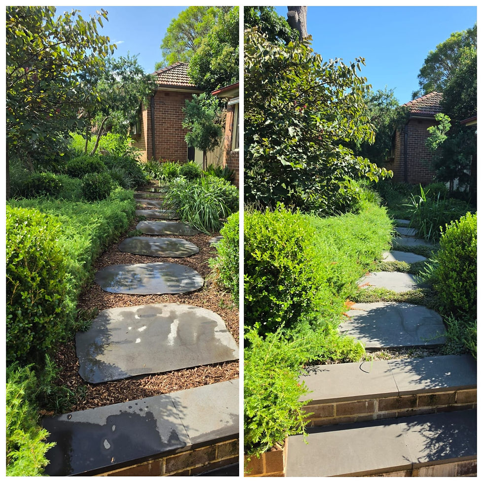 Landscaping in Ryde
