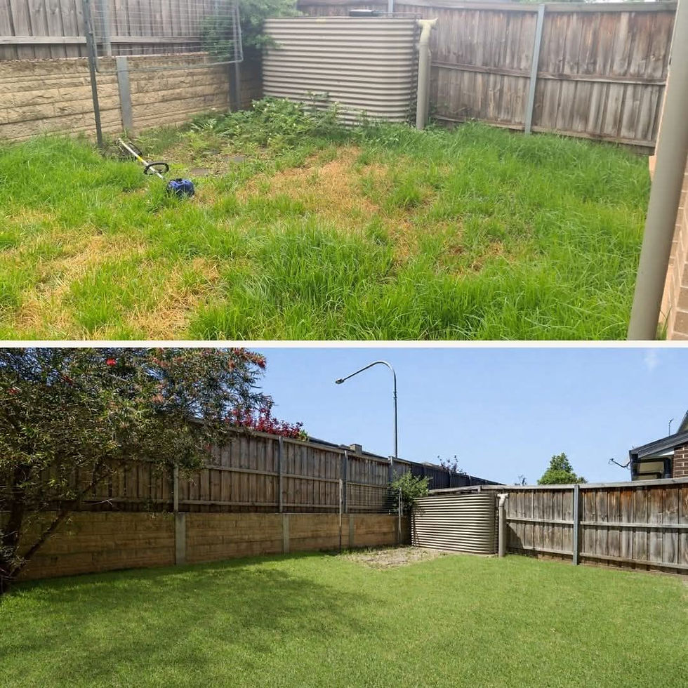 before and after results of regular mowing in Gladesville