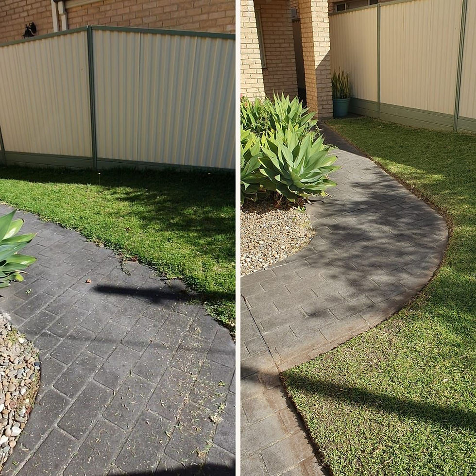 Lawn edging clean finish Five Dock