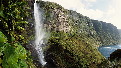 new-zealand-waterfall.webp