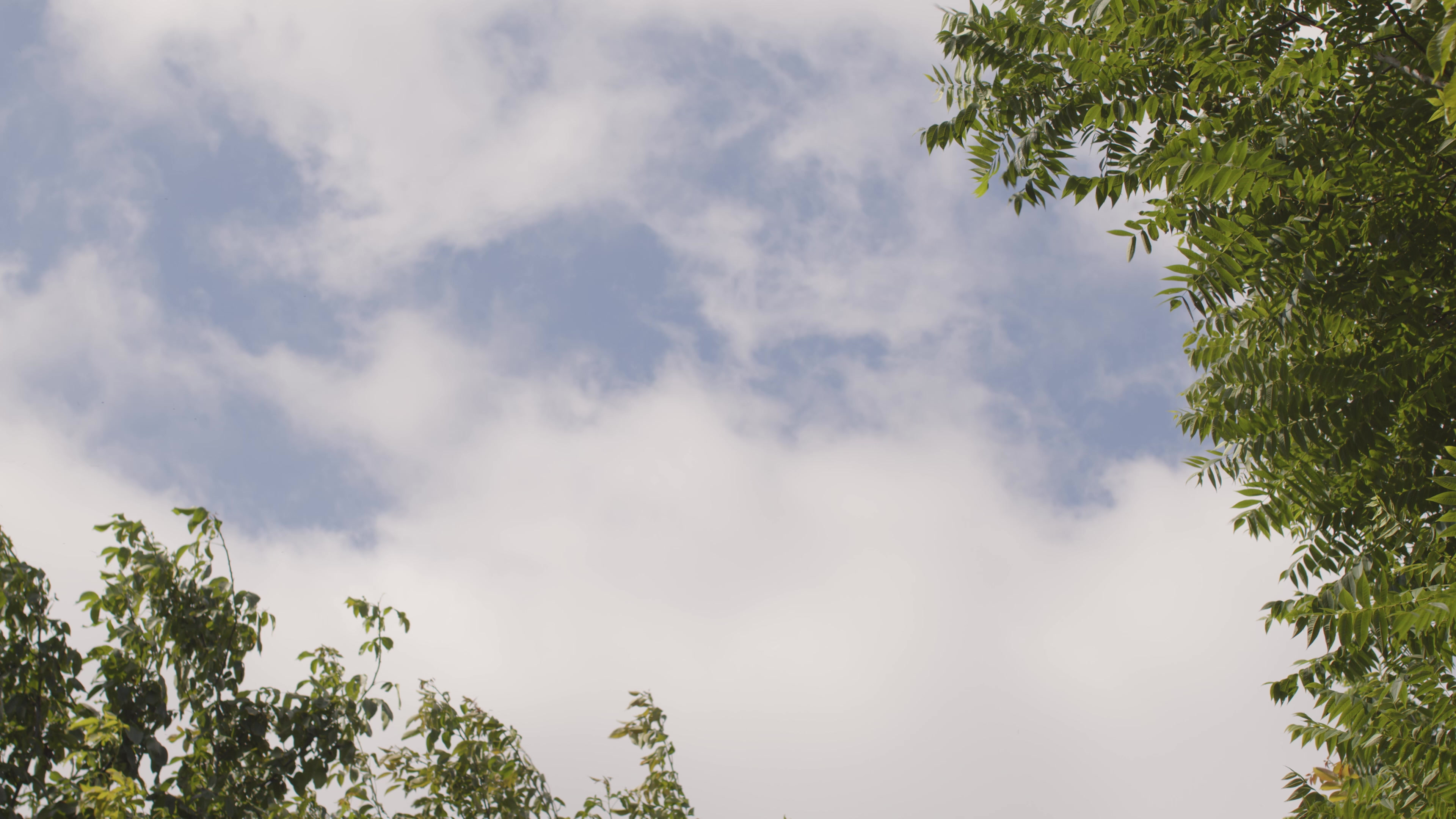 Schulenburg RV Campground