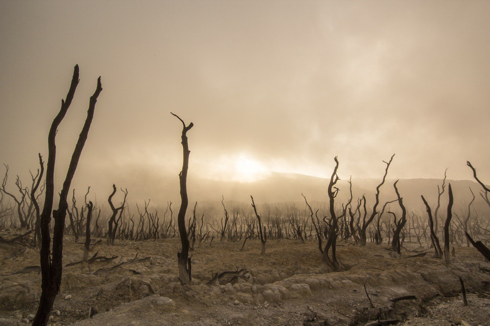 Resource Depletion | Peak Oil News and Message Boards