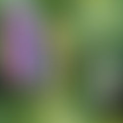 Communication, communication, communication – PART I